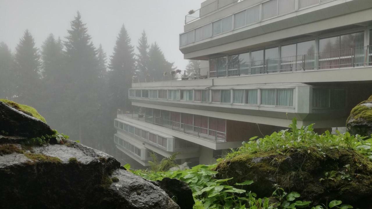 Appartamento Ventisei - Cipat 22114 Marilleva Dış mekan fotoğraf